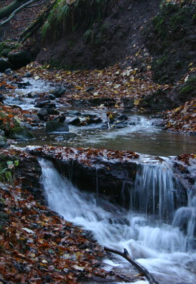 Herbst in der Kaskadenschlucht