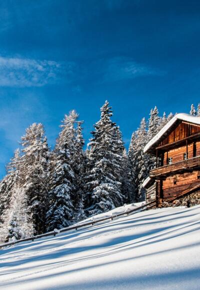 Mitterwurzenalm (1888 m)