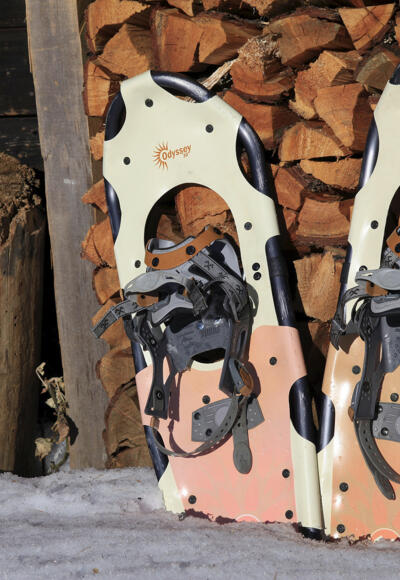 Schneesschuh-Idylle auf der Greiseneckalm