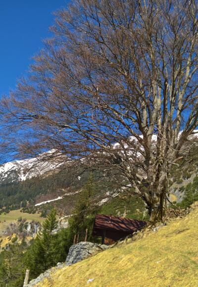 Eggerhütte