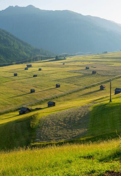 Dorfer Felder, Obertilliach