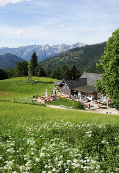 Hoisenrad (969m)