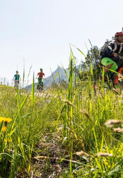 Mit dem Mountainbike unterwegs am Sonnenkopf