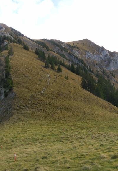 Sonntagsspitze und Moosenspitze