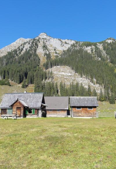 Hintereggeralm mit Nazogel