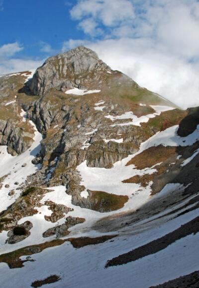 Hochiss
