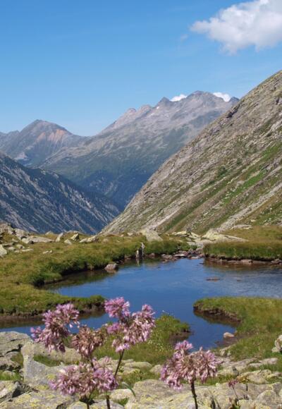 Blick ins Hundskehltal