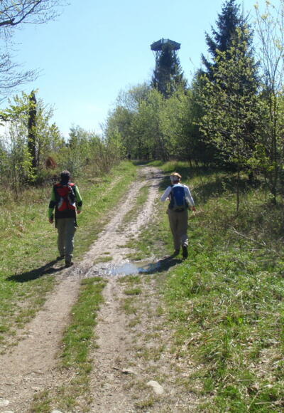 Blick zur Dambergwarte