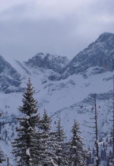 Blick vom Gipfel auf die Nordabstürze des Rofan