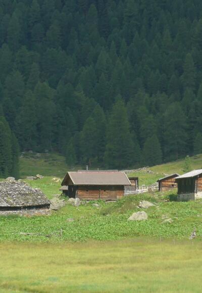 Die Vordere Trojeralm