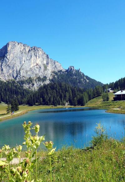 See (1365m) beim Linzerhaus