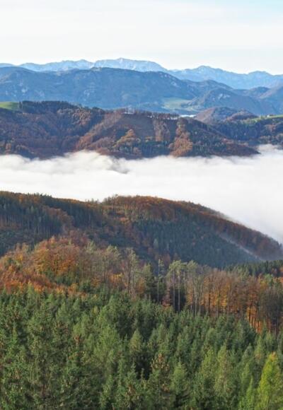 Ausblick von der Dambergwarte Richtung Sengsengebirge auf die vor uns liegende Strecke