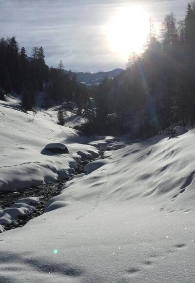 Das Bachbett, welches auf einem Fahrweg kurz nach der Hütte 2 mal gequert wird