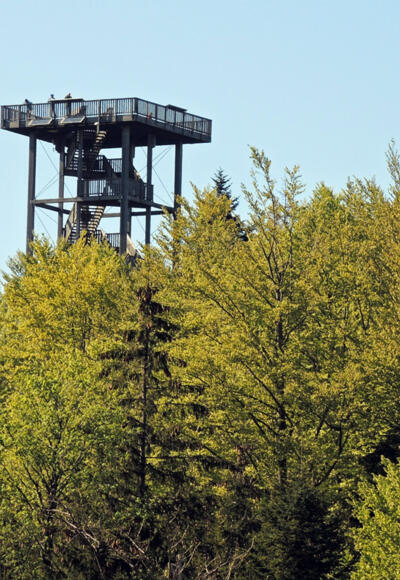 Die Göblbergwarte in Sicht.