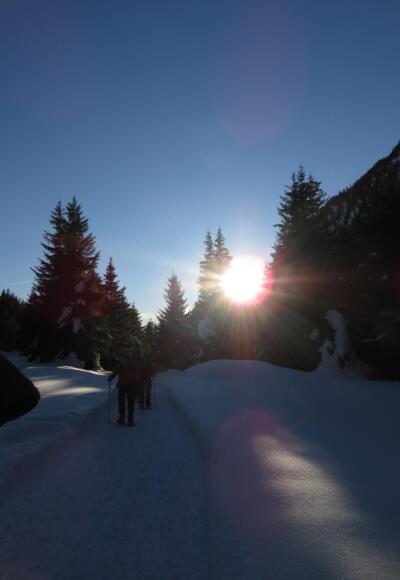Aufstieg in der Abendsonne