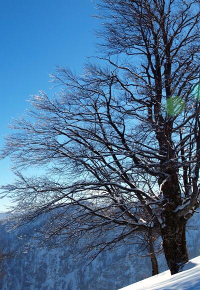 Abfahrt am Ödboden um 1250m