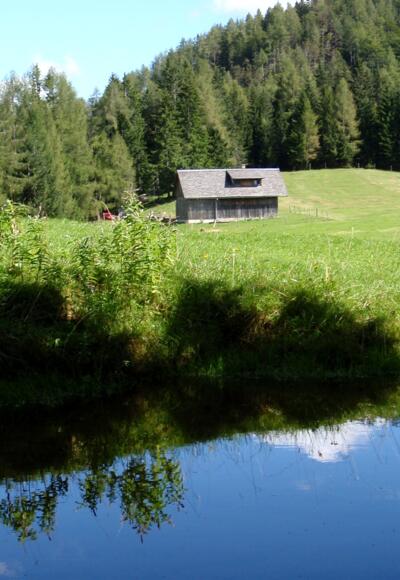 Teich beim Jagdhaus 1.155m