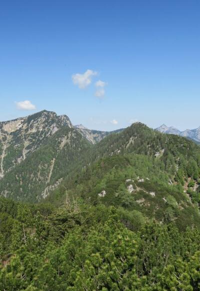 Mein weiterer Verlauf: Elfer- und Zwölferkogel und die Kalmberge