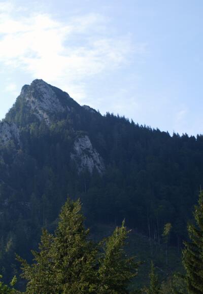 Schöner Blick zum Gipfel bei 890m