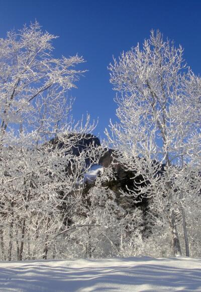 Winterlandschaft in Reuthe