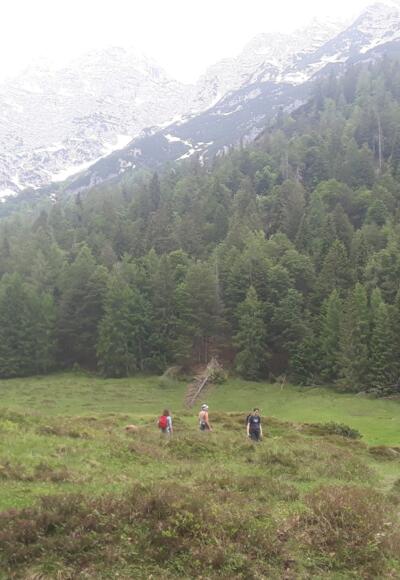 Almberg Alm