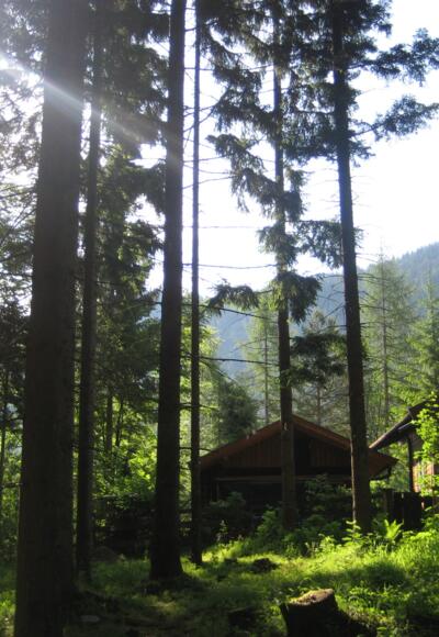 Beim Thiersee (05.06.2011)