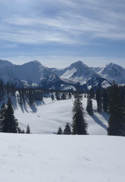 Panormablick: Gaishorn (links) bis Iseler (rechter Bildrand)