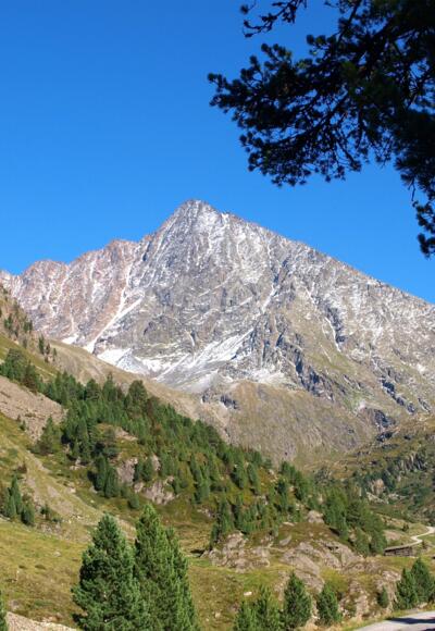 Schrankogel im Blick