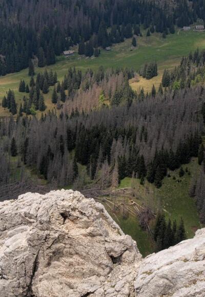 Rückblick vom Gratverlauf auf die Feichtau