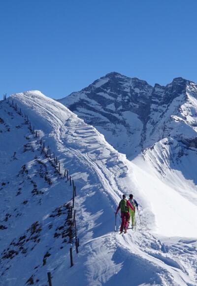 ... Blick auf Olperer, Fußstein und Schrammacher.