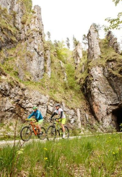 Waldbahn  Reichraminger Hintergebirge  ET 6