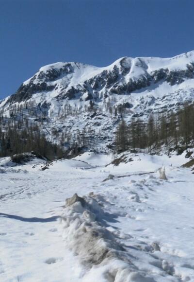 Oberzauchenseealm vor Bärenstaffl und Steinfeldspitze