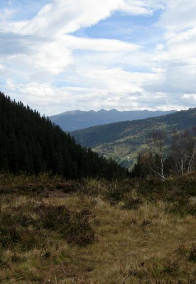Am Loassattel, Blickrichtung Zillertal.