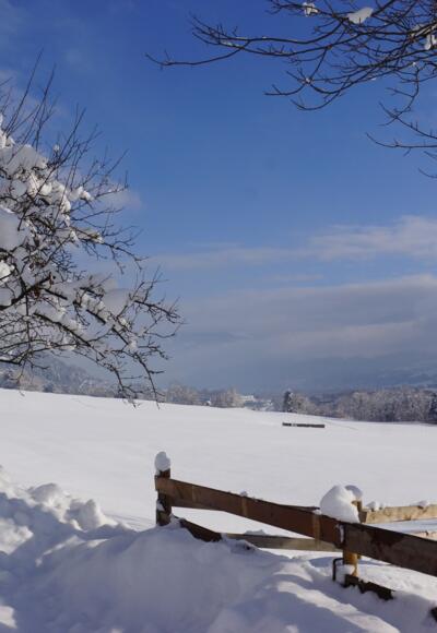 Winterlandschaft