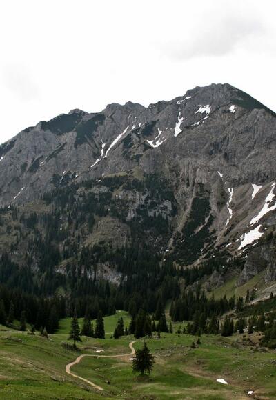 Brentenjoch