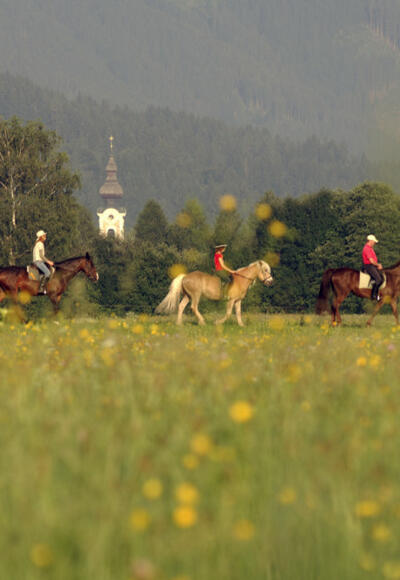 Reiten
