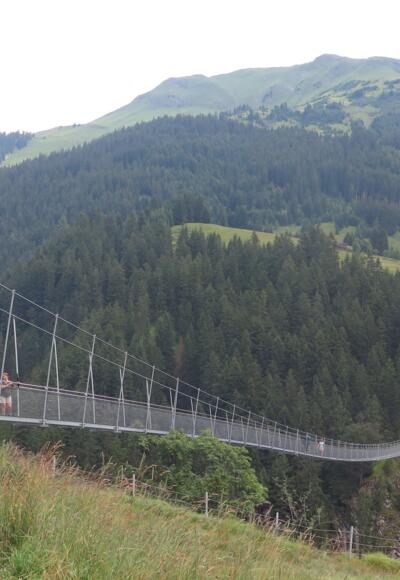 Holzgauer Hängebrücke