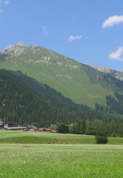 Blick auf Elbigenalp