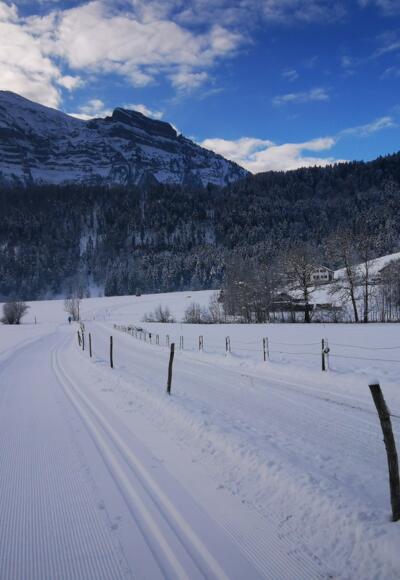 Langlaufloipe in Bizau mit Blick auf die Kanisfluh