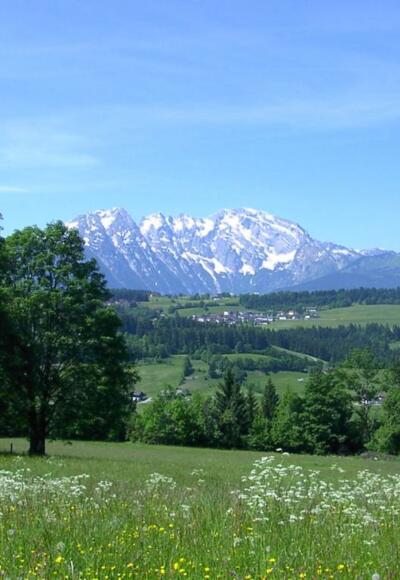 Blick auf St. Koloman mit Hohen Göll im Hintergrund