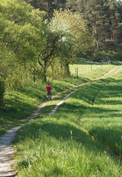 Hangweg zwischen Mittelstreu und Unsleben