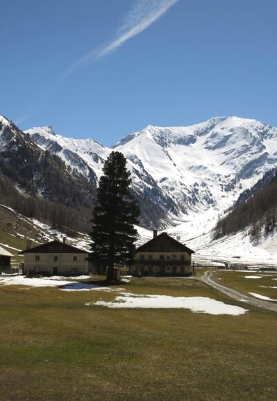 Die perfekte Idylle: der kleine Weiler am Eingang in den Kaserer Winkel, hinten der Kleine Kaserer.