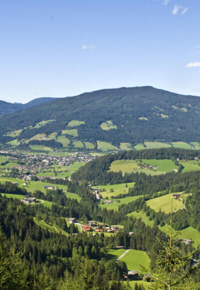Blick zum Ort Altenmarkt