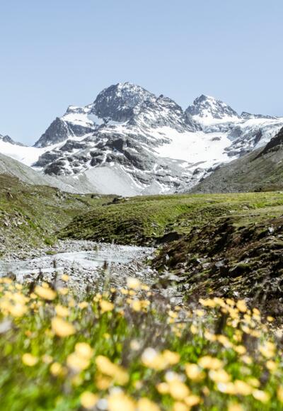 Ochsental mit dem Piz Buin
