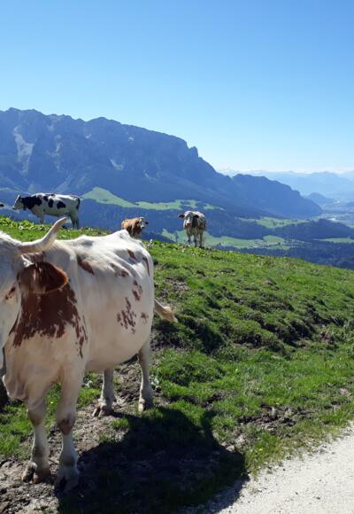 Meeting the locals along the trail