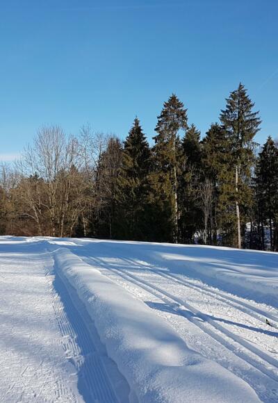 Loipe in Alberschwende