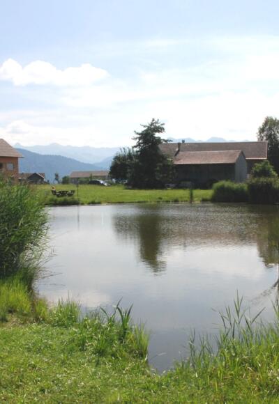 Dörnlesee Lingenau