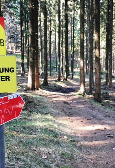 runter vom Burgstall