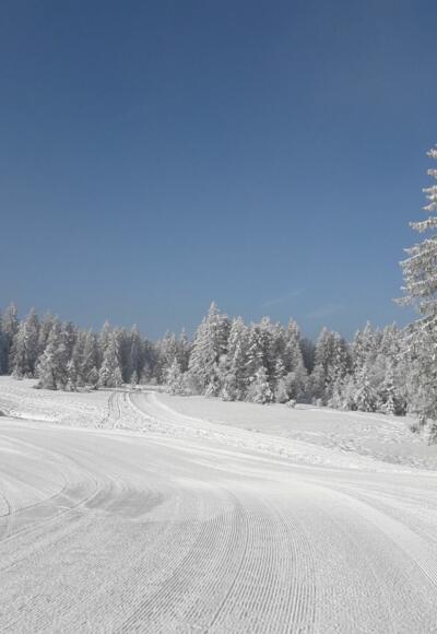 Tiefverschneite Loipe am Bödele