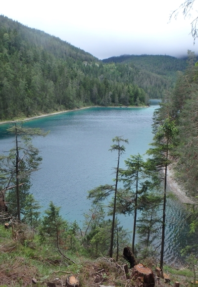 Blindsee